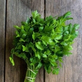 Kako da peršun ostane svež u frižideru duže vreme